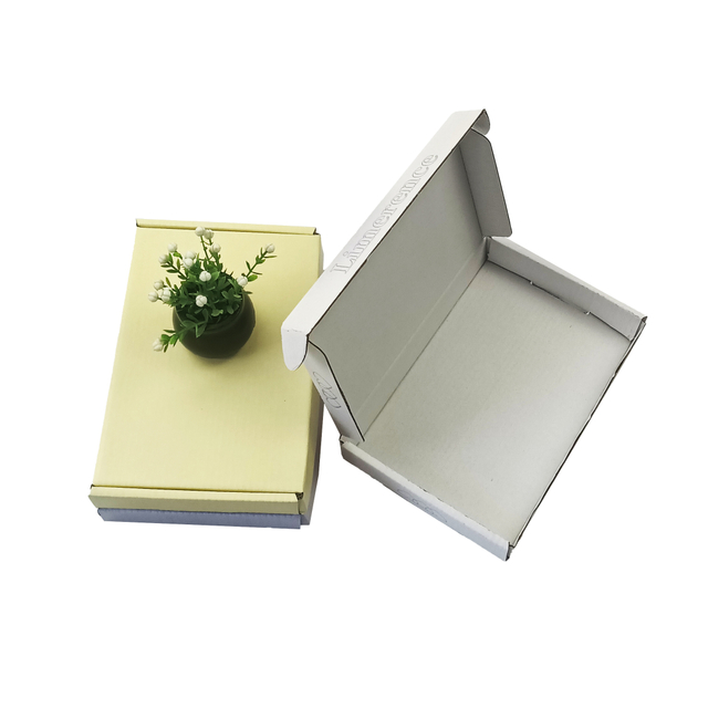 Maßgeschneiderte, einzigartige Verpackung aus Papier Hersteller