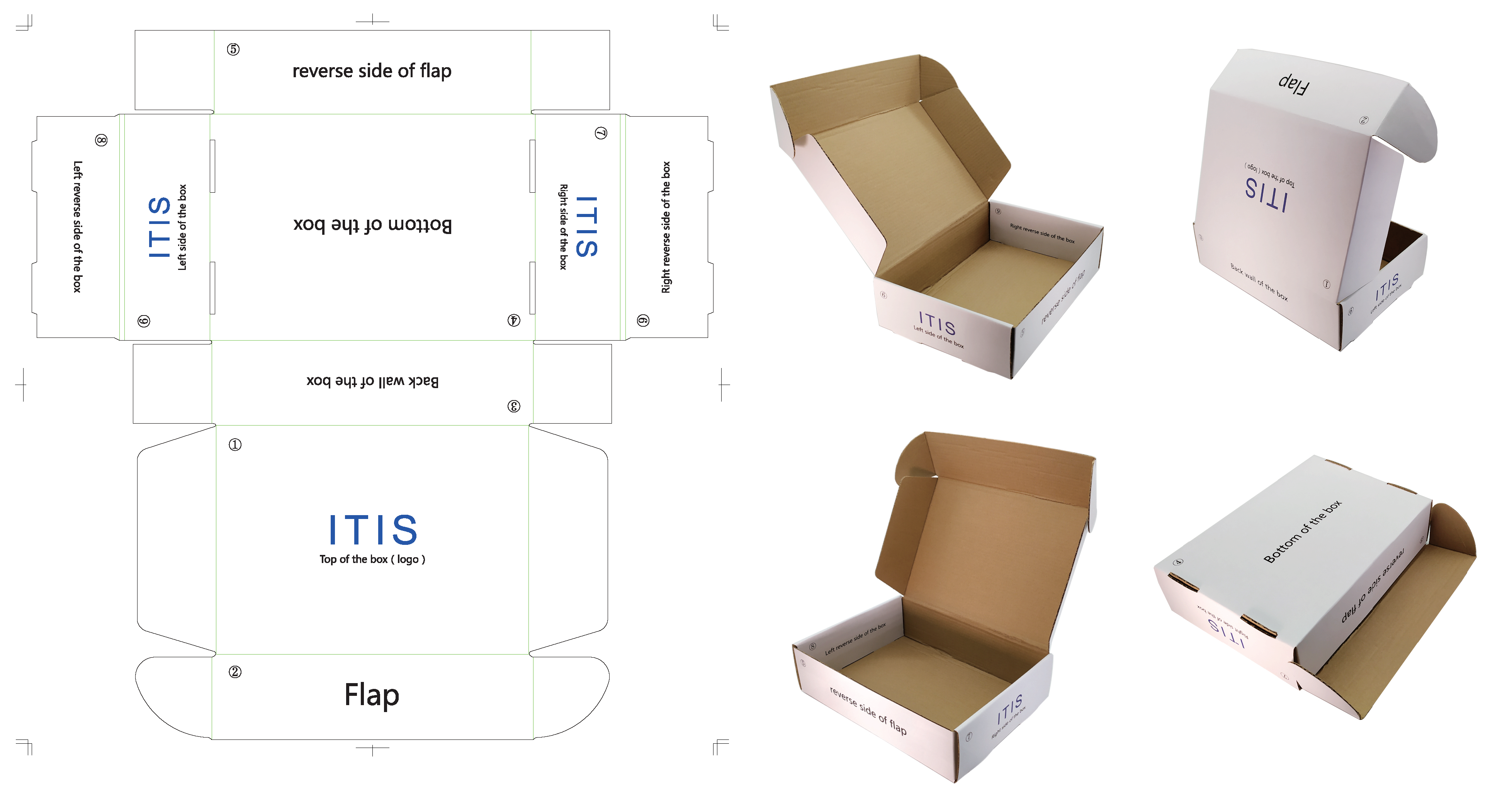 Flugzeugkarton (Versandkarton)